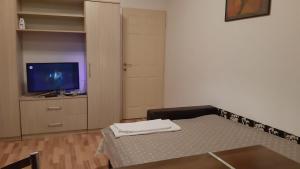 Una sala de estar con una cama y un televisor. en Studio Timpuri Noi 50, en Bucarest