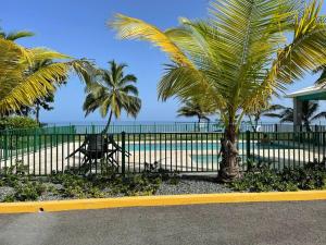 une clôture avec des palmiers en face d'une plage dans l'établissement MY DREAM BEACH HOUSE, à Aguada