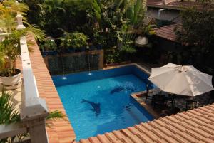 two dolphins swimming in a swimming pool with an umbrella at Tan Kang Angkor Hotel in Siem Reap