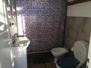 Un baño con inodoro, lavabo y ducha. en La Ventolina, en Puerto Pirámides 8 fotos más