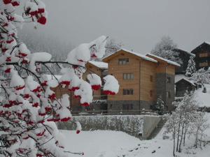 冬天的Swissalpschalet Chalet Timber Inn 4-5