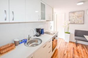 kuchnia ze zlewem i blatem w obiekcie Mobile home Dandelion w Biogradzie na Moru