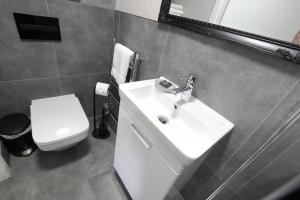 a bathroom with a white sink and a toilet at The Poppy Fields Abode in Rhyl