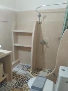 a bathroom with a shower with a toilet and a sink at amorgaia3 in Katapola