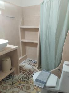 a bathroom with a shower and a toilet and a sink at amorgaia3 in Katapola