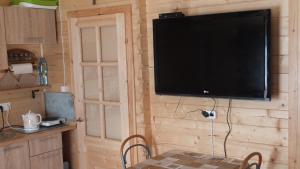einen an der Wand einer Hütte hängenden Fernseher in der Unterkunft Domek letniskowy 1 in Przerwanki
