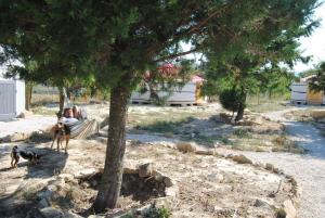 Fotografie z fotogalerie ubytování Campo de Reyes v destinaci Tafalla