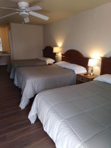 Habitación de hotel con 3 camas y ventilador de techo. en Anglers Hideaway Cabins en Mead