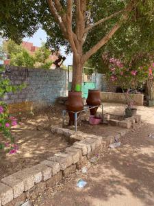 Gallery image of Arafa Nubian Guest house in Aswan