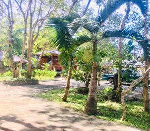 a group of palm trees in front of a house at Pahiluna Guesthouse in Panglao
