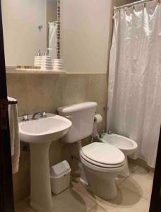 a bathroom with a toilet and a sink at Los Naranjos Departamentos 2 in Concepción