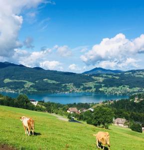 Naturlandschaft in der Nähe des Bauernhofs