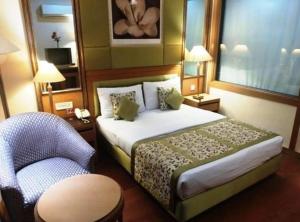 Hotel Jewel Palace في نيودلهي: غرفه فندقيه بسرير وكرسي