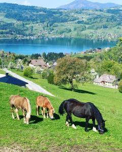 Tiere in diesem Bauernhof oder in der Nähe
