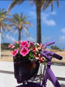 a basket on the back of a bike with flowers at APPARTAMENTO 21 in San Vito lo Capo