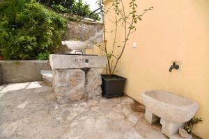 a bathroom with a stone sink and a potted plant at Guesthouse Manda in Dubrovnik
