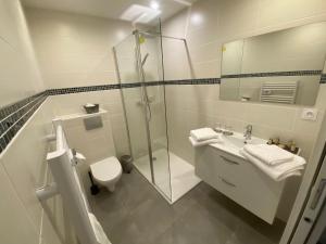 Un baño con ducha, inodoro y lavabo. en La Ferme des Étroits, en Valloire