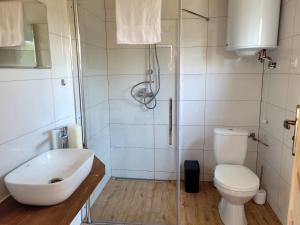 y baño con lavabo, aseo y ducha. en Domek rekreacyjny, en Odrzechowa