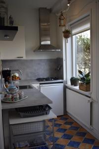 a kitchen with a counter and a sink and a window at BenB de Walvis in Krimpen aan de Lek