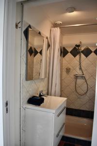een badkamer met een wastafel en een douche bij BenB de Walvis in Krimpen aan de Lek