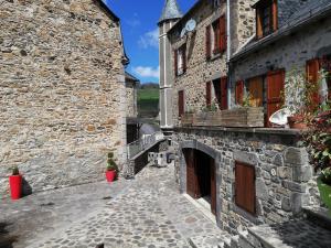 Maison typique pleine de charme Peyrusse Cantal في Peyrusse: زقاق بين مبنيين حجريين مع نباتات الفخار