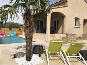 two chairs and a palm tree in front of a house at Le clos de la cerise - Villa Gilbert in Châteauneuf-du-Pape