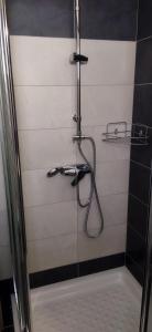 a bathroom with a shower with a shower head at STUDIOS KOULA 2-DIMOS in Potos +20 photos