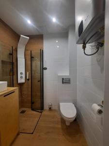 a bathroom with a toilet and a shower at Apartament u Beaty in Łeba