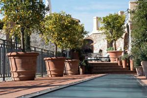 Fotografie z fotogalerie ubytování Paradis Pietrasanta v destinaci Pietrasanta