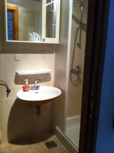ein Bad mit einem Waschbecken und einer Dusche in der Unterkunft Apartments Agava & Lucija in Povlja