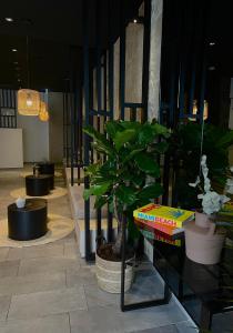 Fotografie z fotogalerie ubytování Bayer's City Hotel v Mnichově