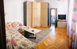 Zona d'estar a Balcescu Alina's apartament