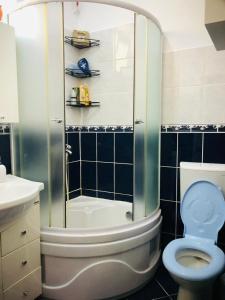 een badkamer met een douche, toilet en wastafel bij Balcescu Alina's apartament in Sibiu +16 foto's