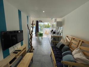a living room with a couch and a tv at Le banc d'Arguin in La Teste-de-Buch