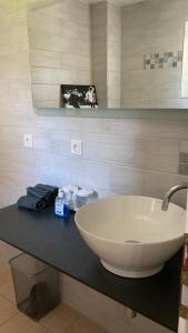 a bathroom with a white sink on a counter at Ferienhaus Spreewald direkt am Wasser in Burg Kauper +15 photos