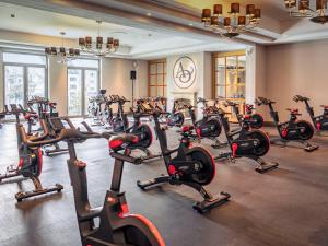 Fitness centrum a/nebo fitness zařízení v ubytování Aspria Hamburg Uhlenhorst Sport & Spa