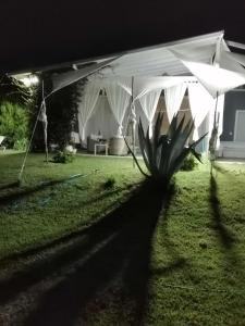 a white tent in a yard at night at Alos in Ammouliani