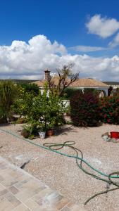 un jardín con una manguera verde en el suelo en L'Apostille, en Mazarrón