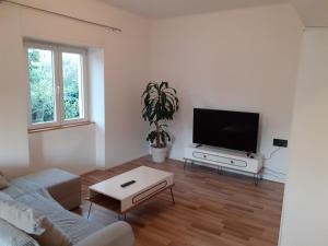 uma sala de estar com um sofá e uma televisão de ecrã plano em Apartment Luan em Zadar