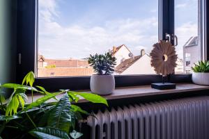 Studio Fayence - EMMA, Netflix, WiFi, Workspace的阳台或露台