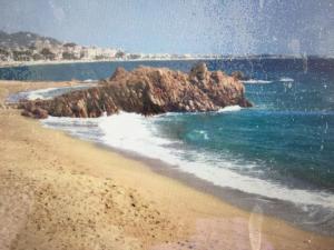 Zdjęcie z galerii obiektu VILLA MAUPASSANT T2 BORD DE MER w Cannes +6 zdjęć