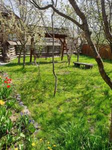 un parc avec un banc et des fleurs dans l'herbe dans l'établissement PENSIUNEA DENISIA, à Vadu Izei