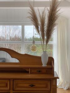 een vaas met een plant op een dressoir voor een raam bij Ragnar Glamp Milzkalne Lux in Rauda