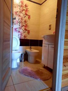 La salle de bains est pourvue de toilettes et d'un lavabo. dans l'établissement Domek Chańcza, à Chańcza