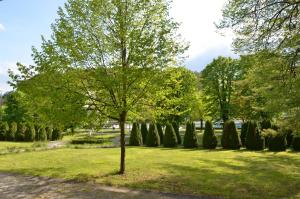 Gallery image of Apartments Vektor Vila Golf in Rogaška Slatina