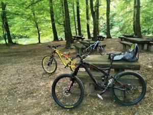 Jazda na bicykli v okolí ubytovania Prána Apartman
