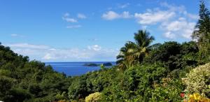 ブイヤントにあるGites Cabazatの椰子の木のある丘から海の景色
