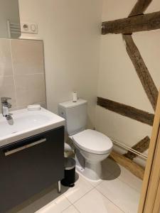 a bathroom with a white toilet and a sink at Bel appartement en coeur de ville - 20 minutes du PAL in Moulins +36 photos