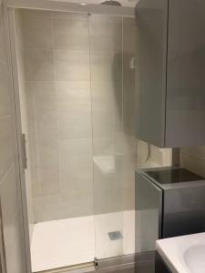 a shower with a glass door in a bathroom at Bel appartement en coeur de ville - 20 minutes du PAL in Moulins