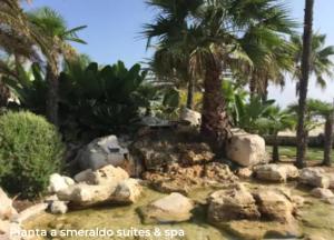 a model of a tropical garden with palm trees and rocks at Stanza Lillina camera matrimoniale con angolo cottura in San Benedetto del Tronto